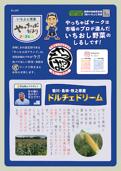 やっちゃばだより 2026年5月号 2026年5月号