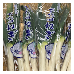 下仁田ねぎ