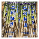 土付ねぎ